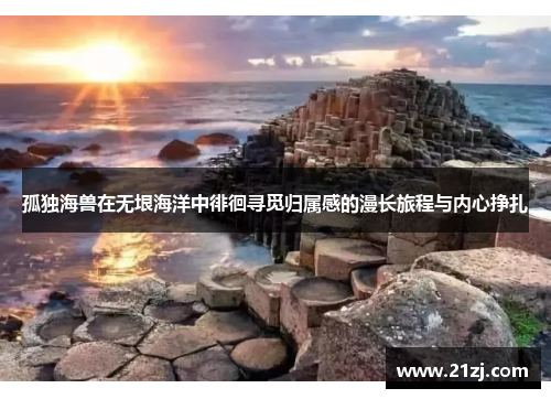 孤独海兽在无垠海洋中徘徊寻觅归属感的漫长旅程与内心挣扎