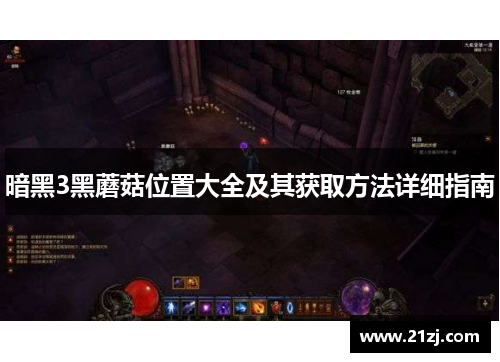 暗黑3黑蘑菇位置大全及其获取方法详细指南
